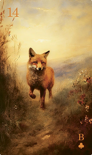 Karte Fuchs im Lenormand Karte Fuchs im Lenormand